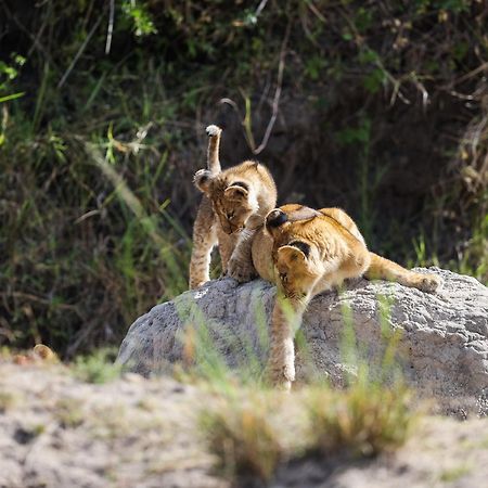 Vila Mara Elatia Camp Maasai Mara Exteriér fotografie