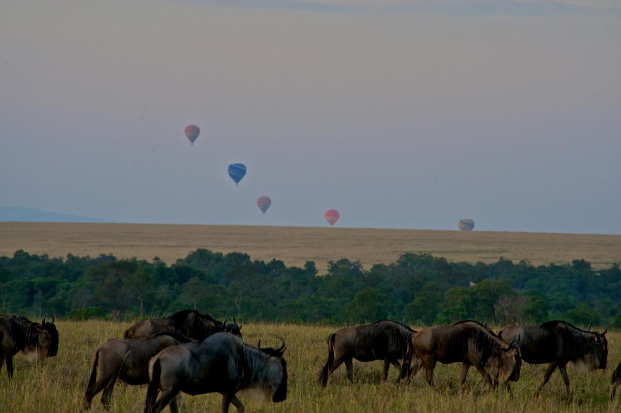 Vila Mara Elatia Camp Maasai Mara Exteriér fotografie