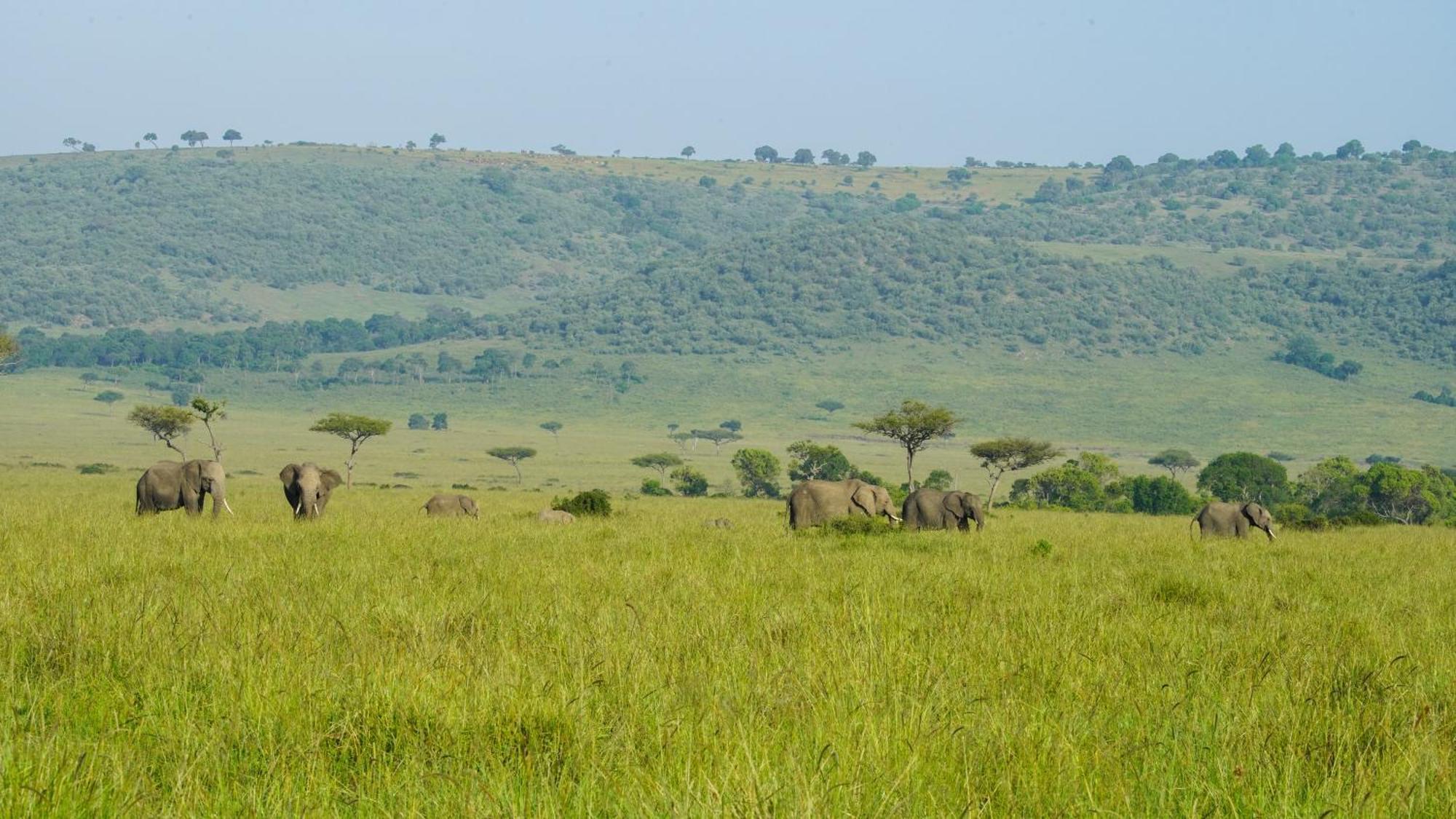 Vila Mara Elatia Camp Maasai Mara Exteriér fotografie