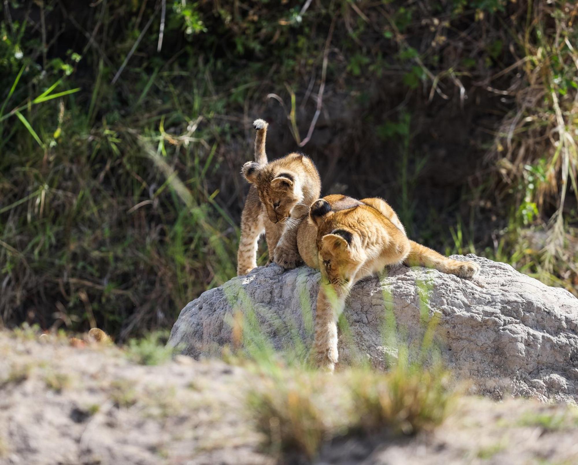 Vila Mara Elatia Camp Maasai Mara Exteriér fotografie