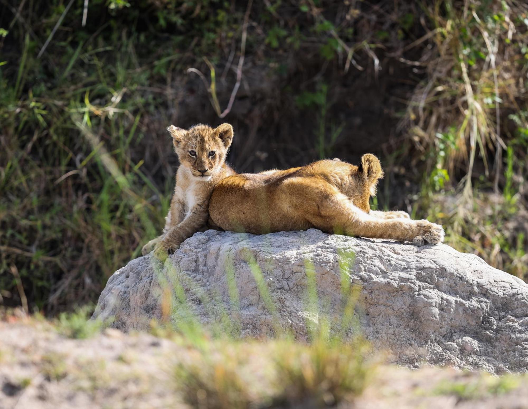 Vila Mara Elatia Camp Maasai Mara Exteriér fotografie